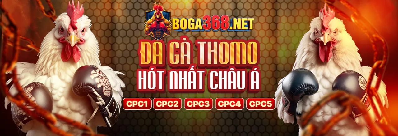 Đá Gà Trực Tuyến VV88